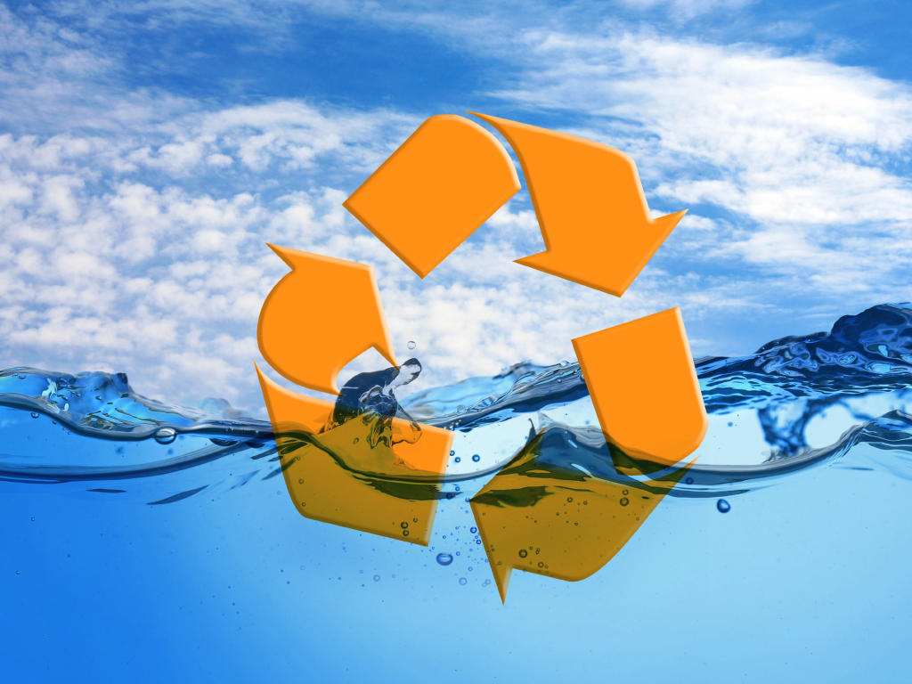 WRC training and learning workshop