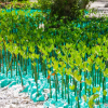 Nature based solutions